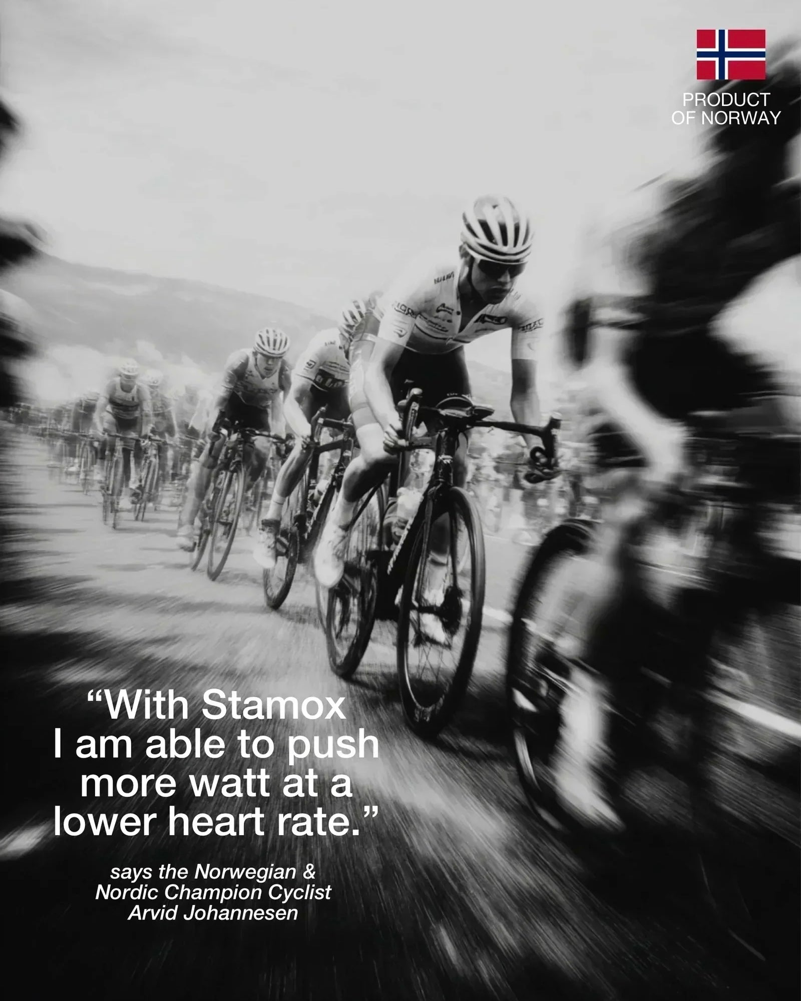 Stamox Premium Εκχύλισμα Παντζαριού